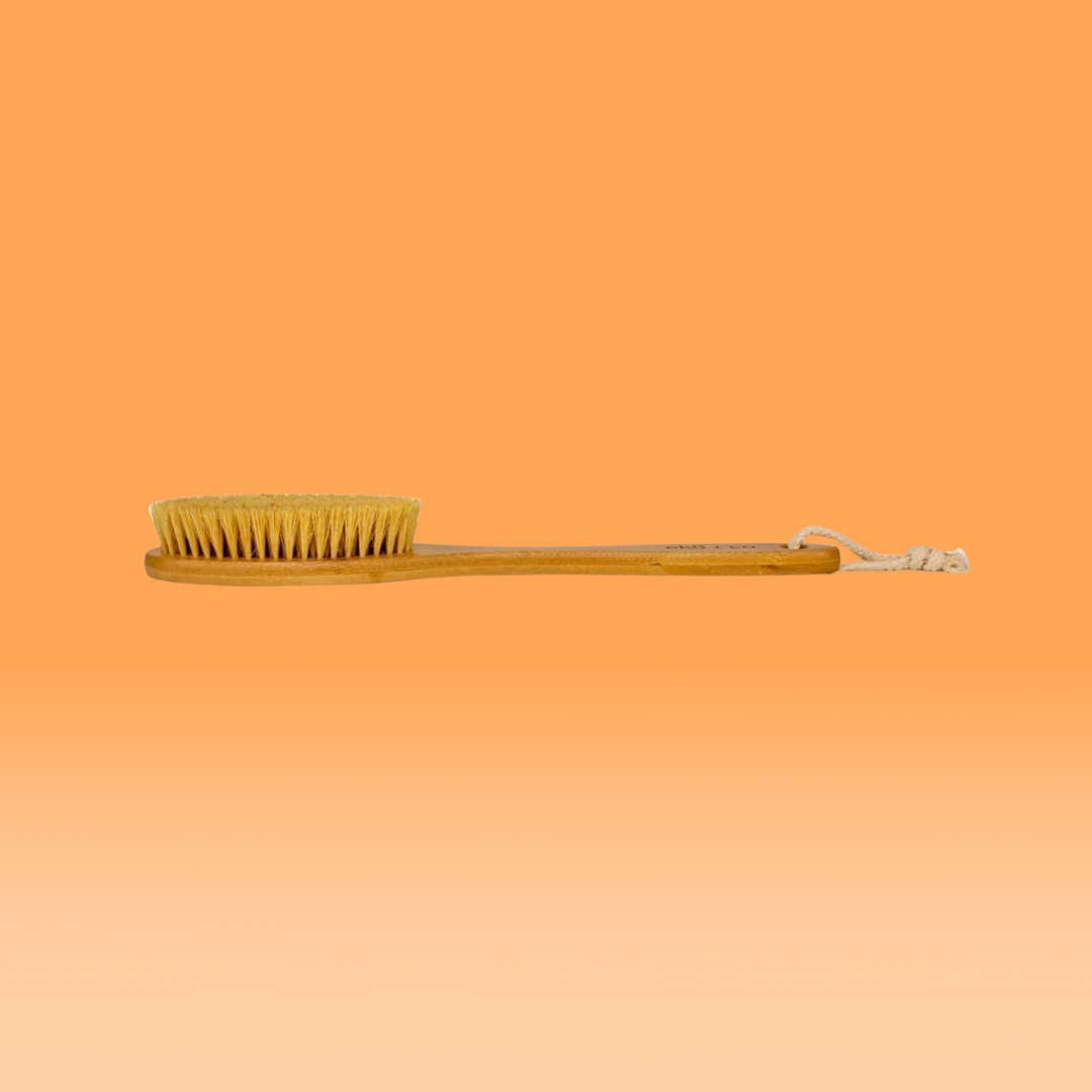 long handle dry brush