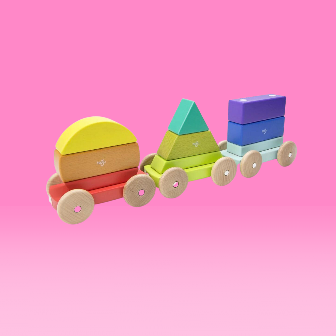 Tegu magnetic shape sales train