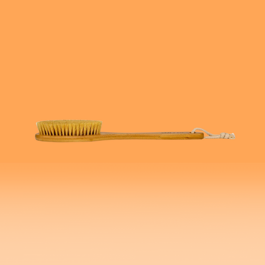 long handle dry brush